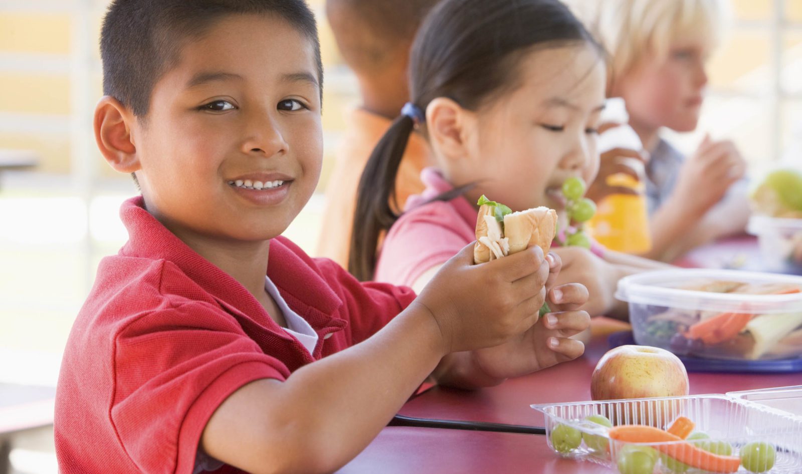 Population based obesity interventions