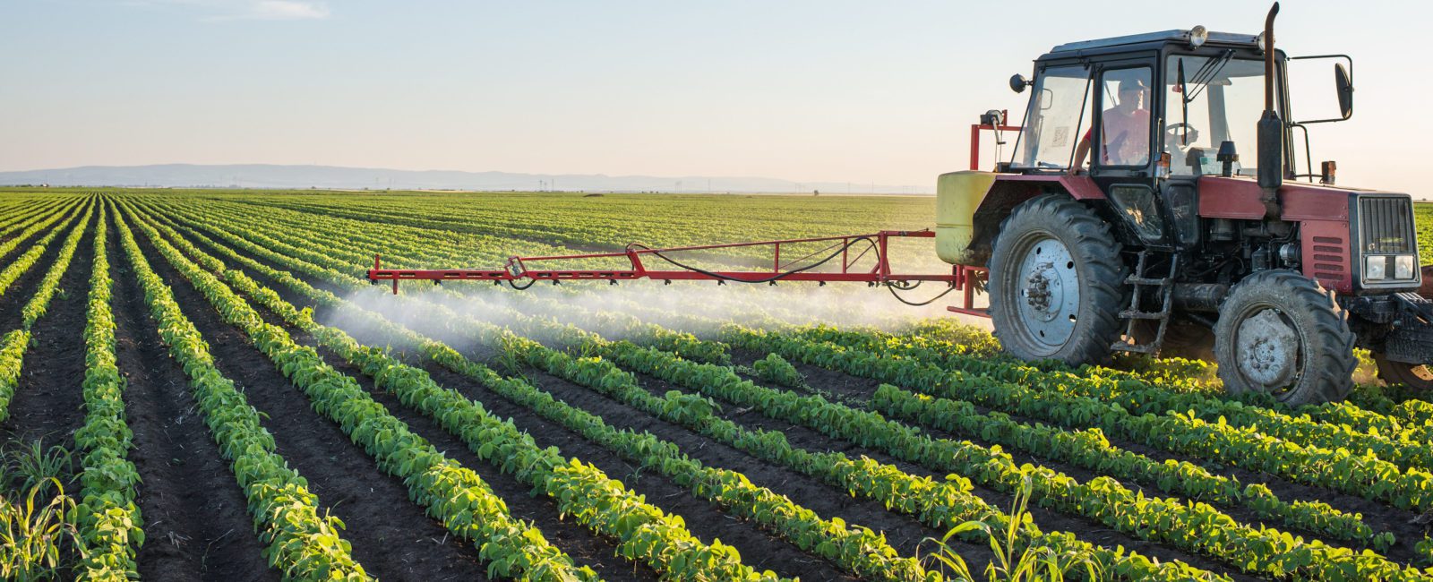 Pesticides and organic food health
