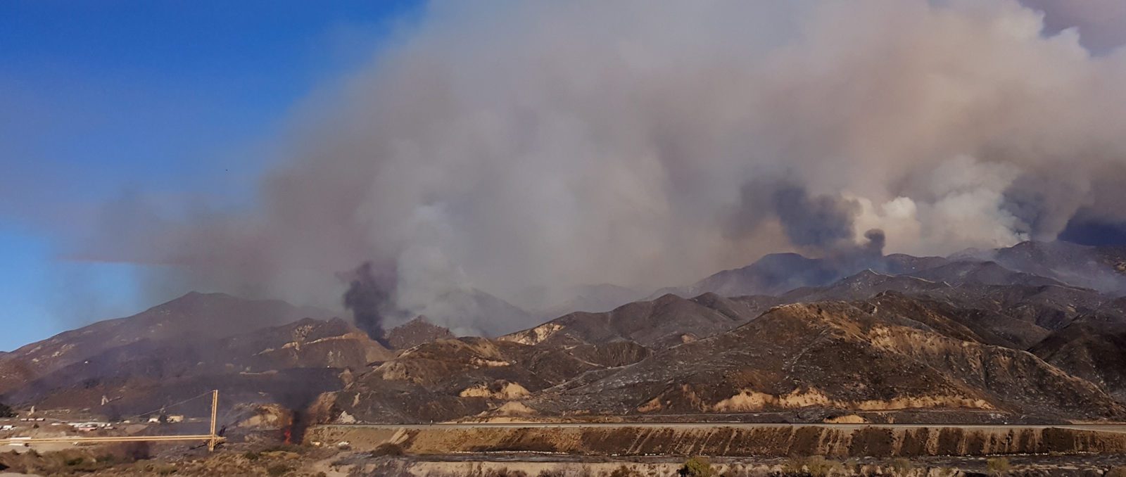 Doctors and Scientists Against Wood Smoke Pollution