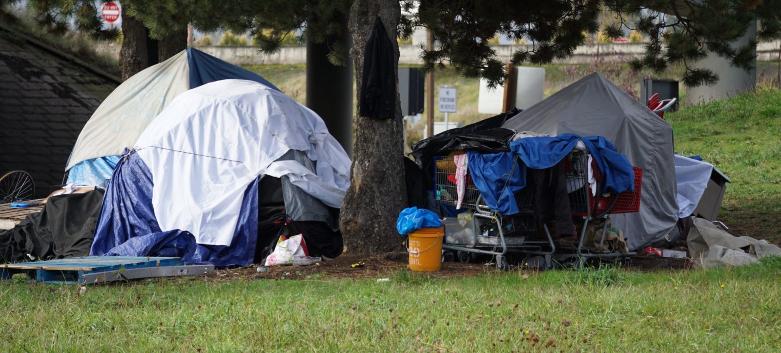 I gave my patient a tent - Healthy Debate