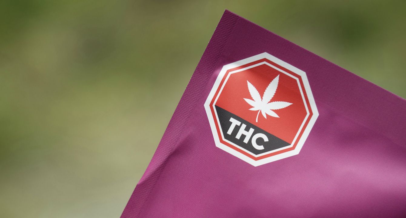 Kiwi Concerns: Cannabis Education Gap Leaves Canadians at Risk – Are We Doing Enough?